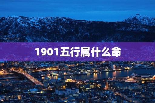 1901五行属什么命