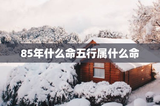 85年什么命五行属什么命