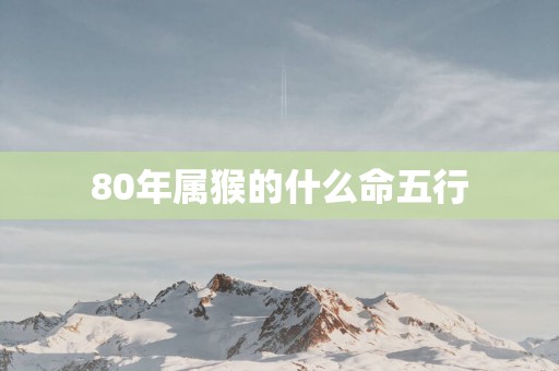 80年属猴的什么命五行