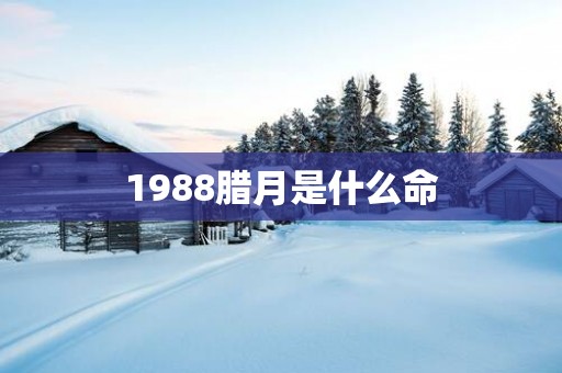 1988腊月是什么命