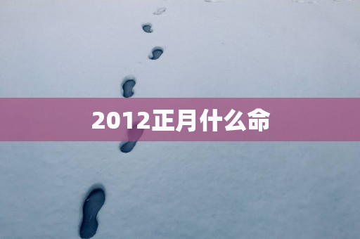 2012正月什么命