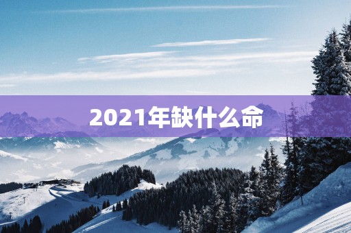 2025年缺什么命
