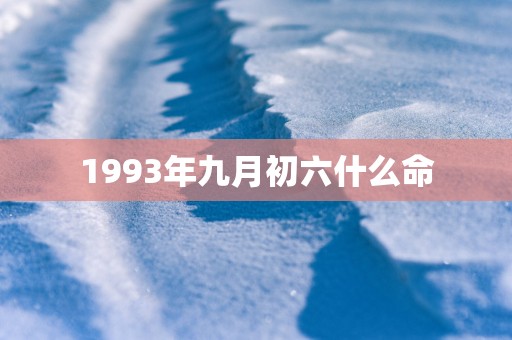 1993年九月初六什么命