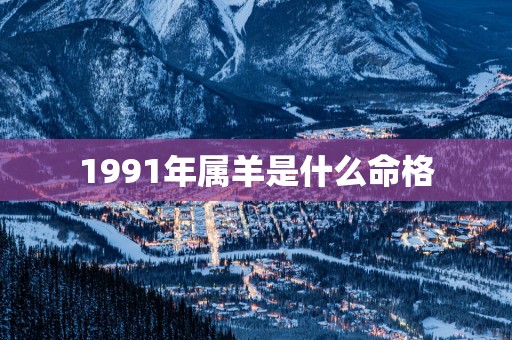 1991年属羊是什么命格