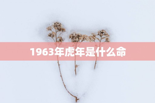 1963年蛇年是什么命