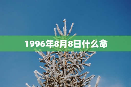 1996年8月8日什么命