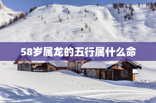 58岁属龙的五行属什么命