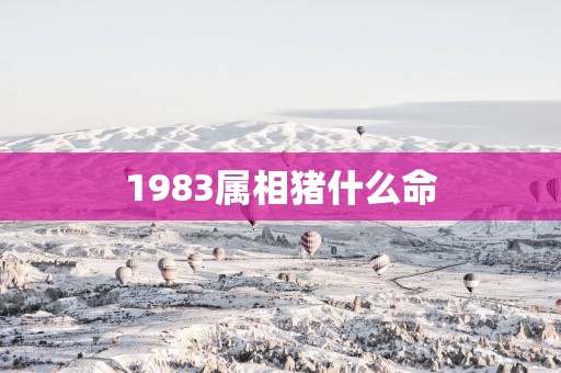1983属相猪什么命