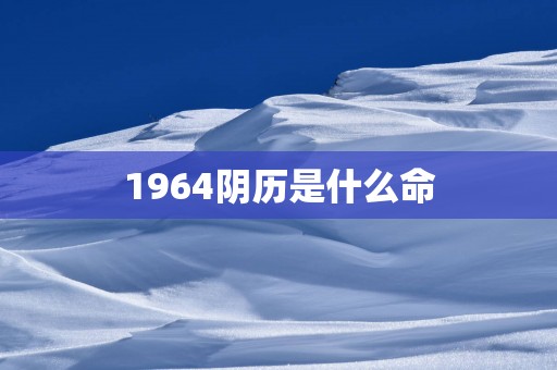 1964阴历是什么命