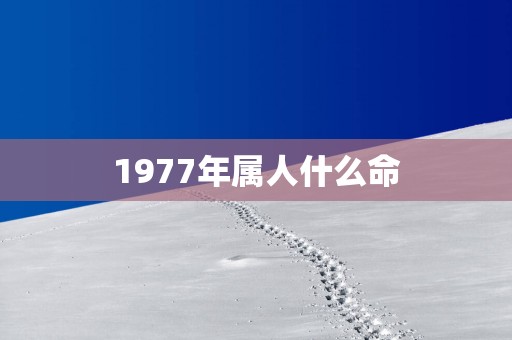 1977年属人什么命