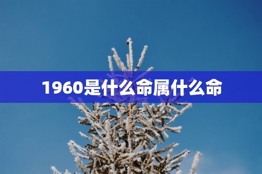 1960是什么命属什么命