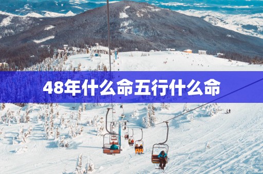 48年什么命五行什么命