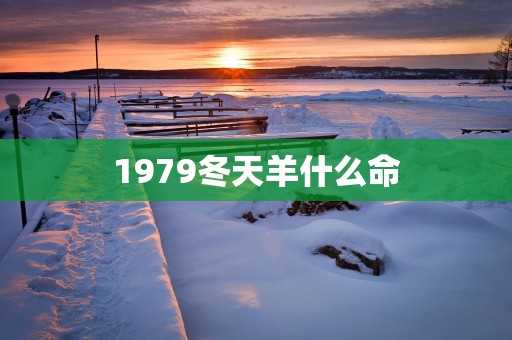 1979冬天羊什么命