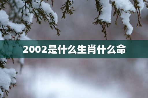 2002是什么生肖什么命