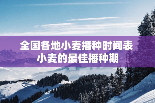 全国各地小麦播种时间表 小麦的最佳播种期