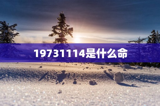 19731114是什么命 19731114是什么命