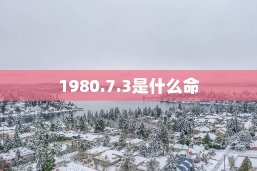 1980.7.3是什么命