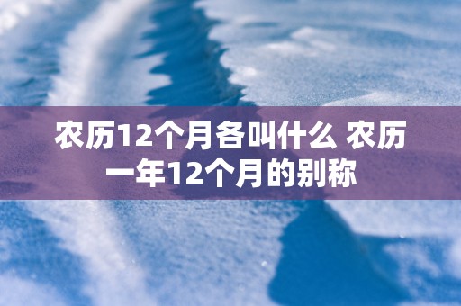 农历12个月各叫什么 农历一年12个月的别称