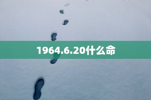 1964.6.20什么命