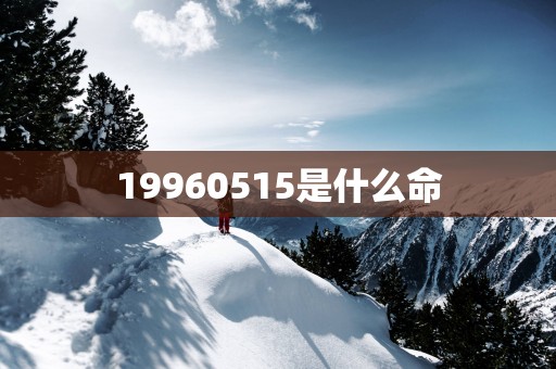 19960515是什么命
