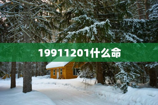 19911201什么命