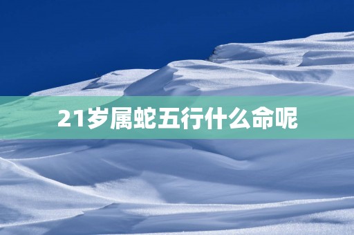 21岁属蛇五行什么命呢
