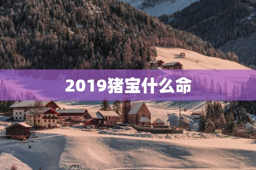 2019猪宝什么命