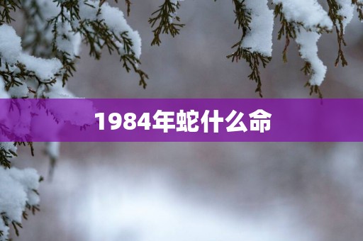 1984年蛇什么命