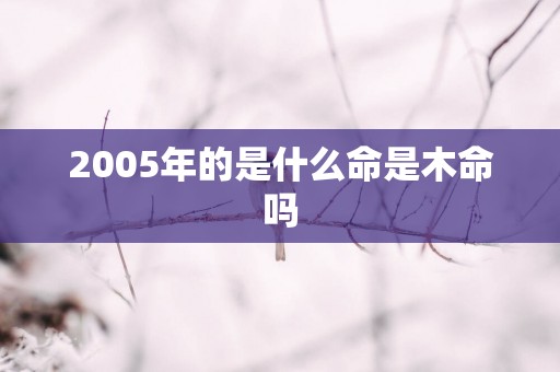 2005年的是什么命是木命吗