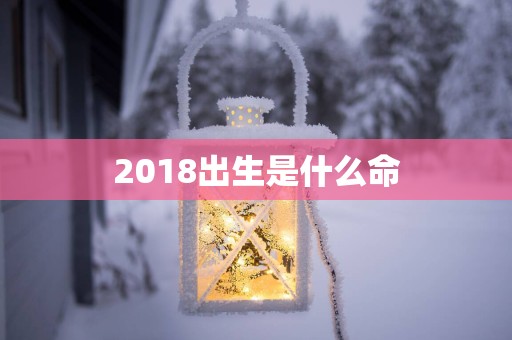 2018出生是什么命
