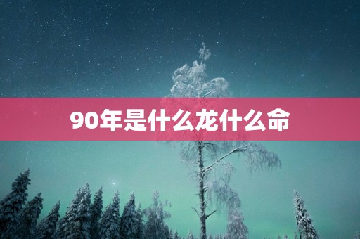 90年是什么龙什么命