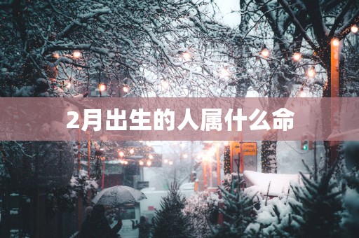 2月出生的人属什么命