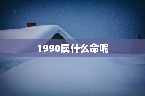 1990属什么命呢