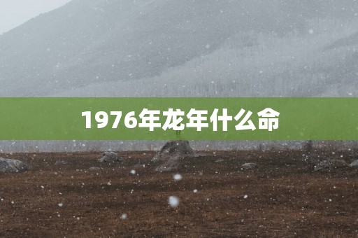 1976年蛇年什么命