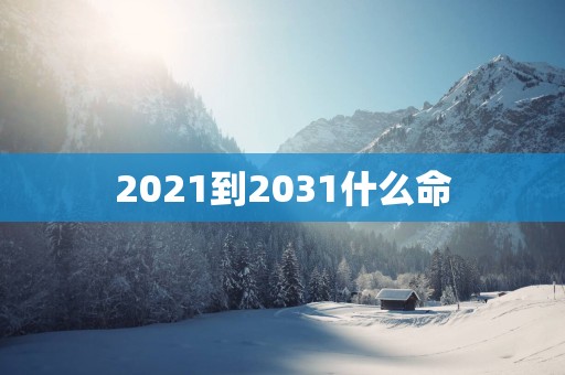 2025到2031什么命