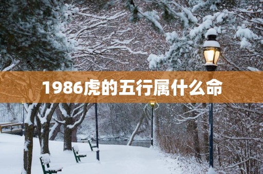 1986虎的五行属什么命