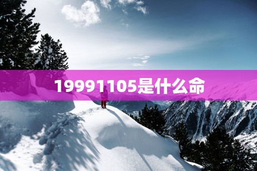 19991105是什么命