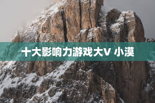 十大影响力游戏大V 小漠