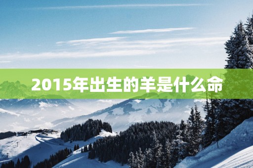 2015年出生的羊是什么命