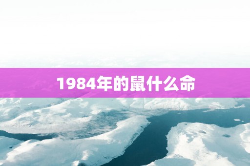 1984年的鼠什么命