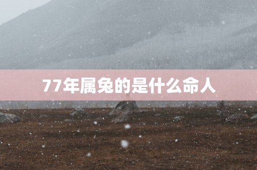77年属兔的是什么命人
