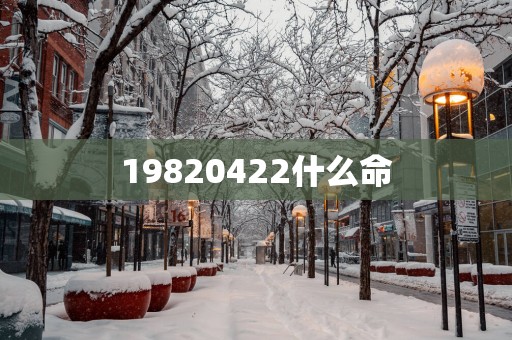 19820422什么命