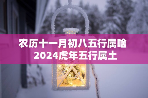 农历十一月初八五行属啥  2025蛇年五行属土