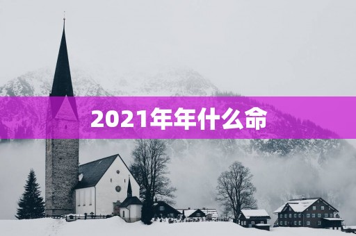 2025年年什么命