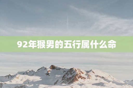 92年猴男的五行属什么命