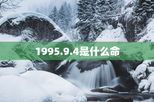 1995.9.4是什么命