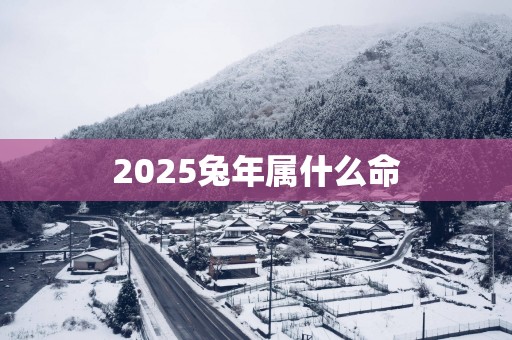 2025蛇年属什么命