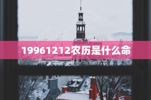 19961212农历是什么命