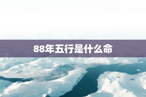 88年五行是什么命