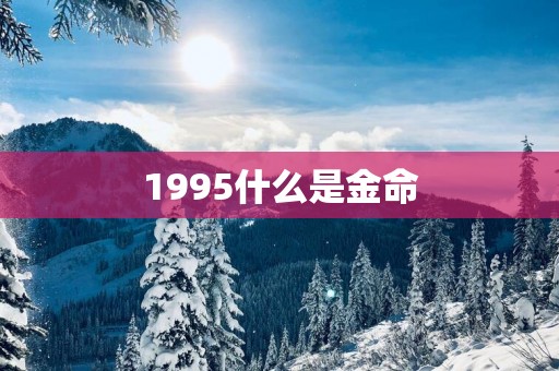 1995什么是金命